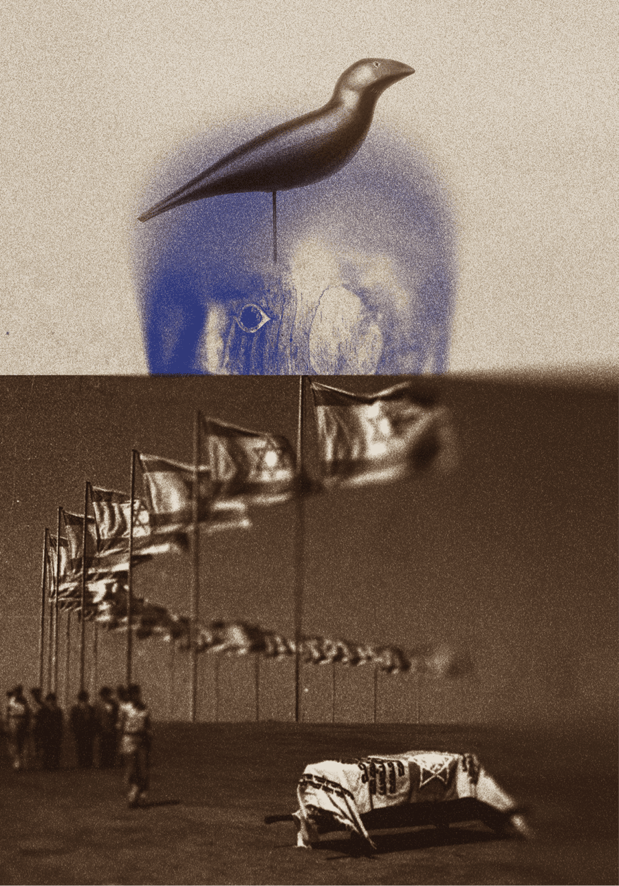 A graphic of a bird and mannequin over Israeli flags.